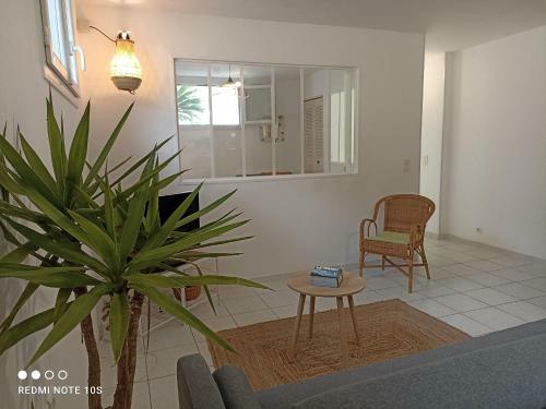 Apartamento Le G�te Des Palmiers