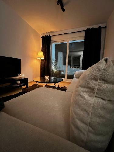 Luxury Apartment