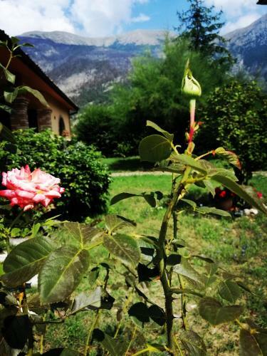B&B Il Prato