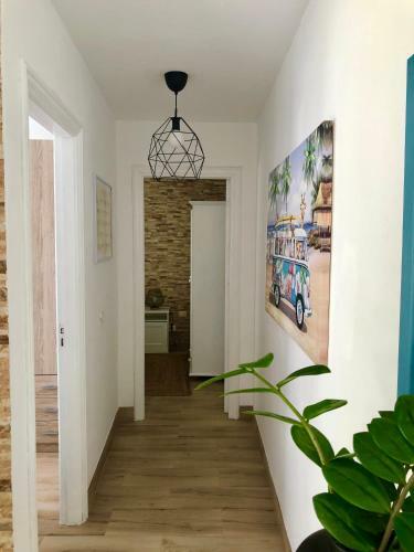 Apartamento Casa Lucilita