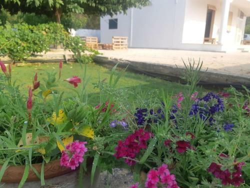 Casa Vacanze Salento: Villa Charlotte