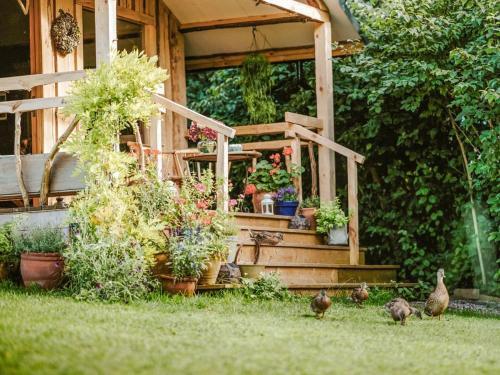 Lazy Bear Hideaway-qu7572