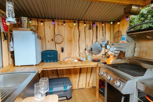 Lazy Bear Hideaway-qu7572