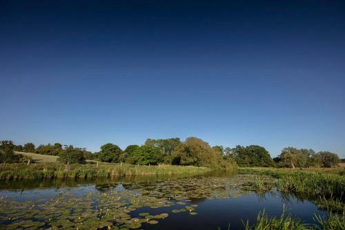 Hostal Carrick's At Castle Farm