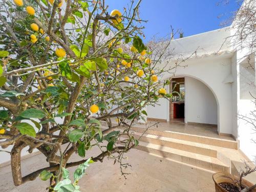 Villa Guacarachas