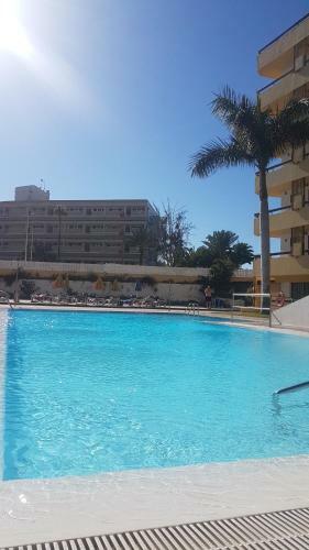 Vivienda Vacacional - Las Camelias Apartments #10