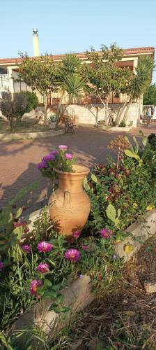 B&B Casa Nisi