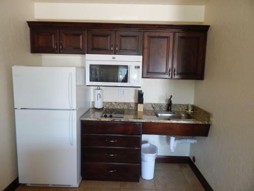 Motel Winterton Suites