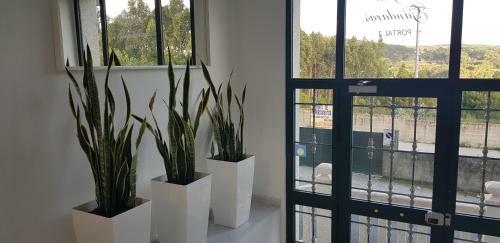 Apartamento Fisterra -sardi�eiro