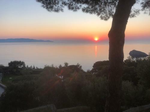 Apartamento Villa Rosa