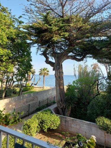 Apartamento Appart T3 Sur La Plage