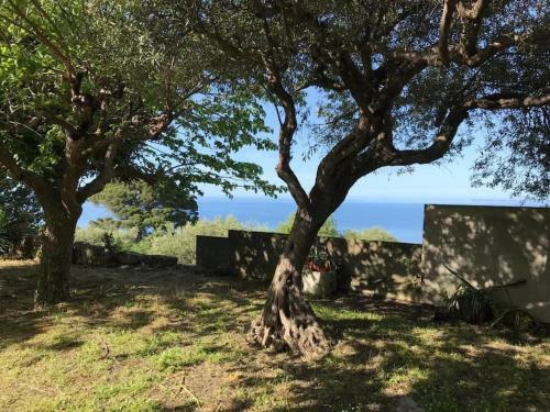 Belvedere 4 In Villa Greco
