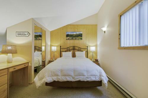 Ski House 234