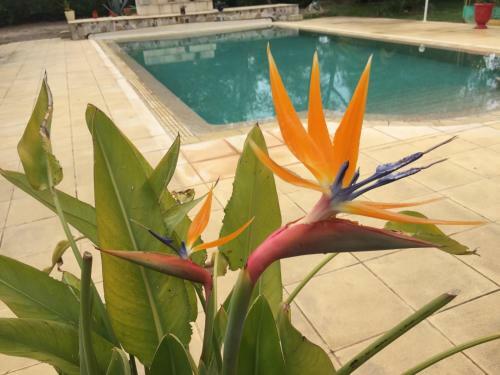 Bed & Breakfast Domaine Sagittaires