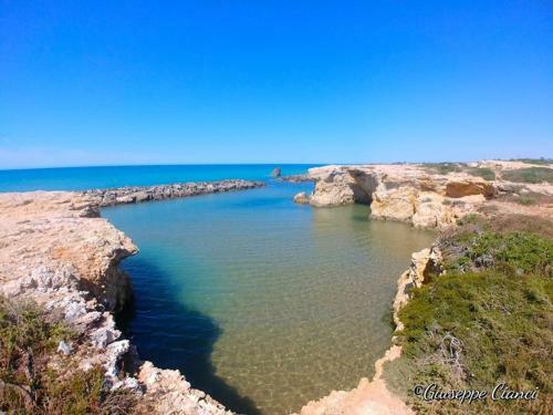 South Sicily Bio