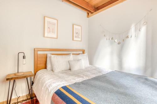 The Bear Cub