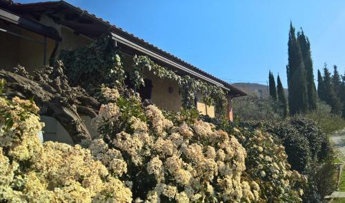 Apartamento Residence Casa Lama