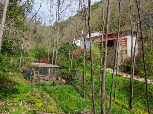 Locazione Turistica Nel Bosco