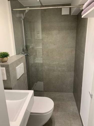 Rhein Apartment Souterrain Business