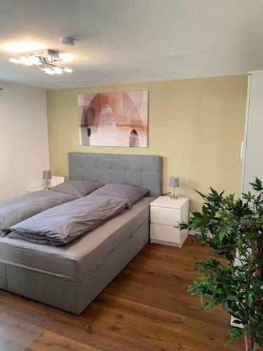 Rhein Apartment Souterrain Business