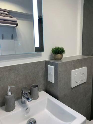 Rhein Apartment Souterrain Business
