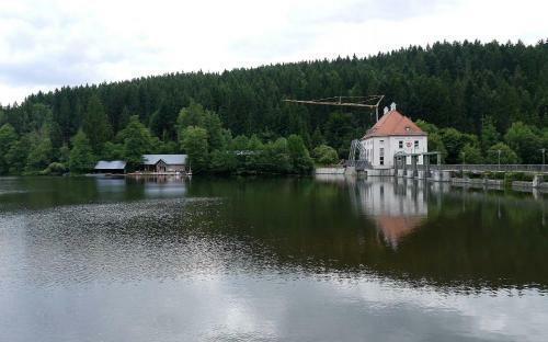 Ferienhaus Nr 14, Typ A, Feriendorf J�gerpark, Bayerischer Wald
