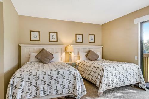 Water Oak 15