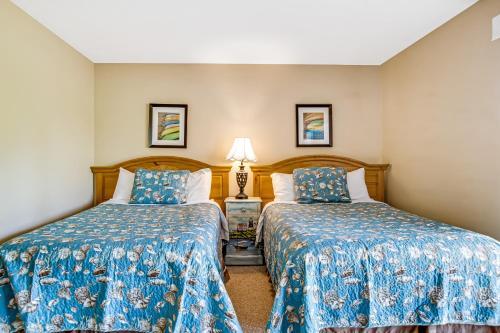 Water Oak 15