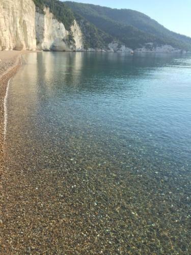 Camping Apartment Vignanotica