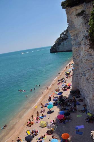 Camping Apartment Vignanotica