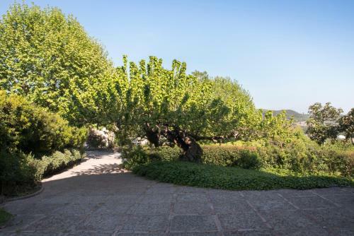 Agroturismo La Vecchia Quercia