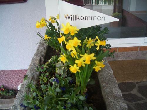 Apartamentos Haus Ortner