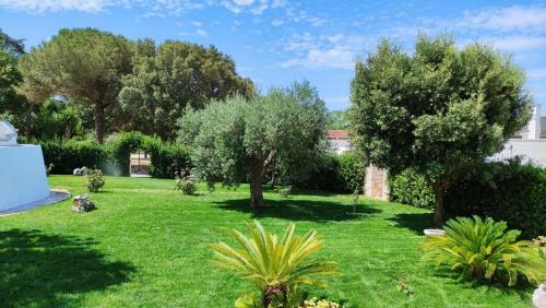 Agroturismo Agriturismo Masseria Casedde Vecchie