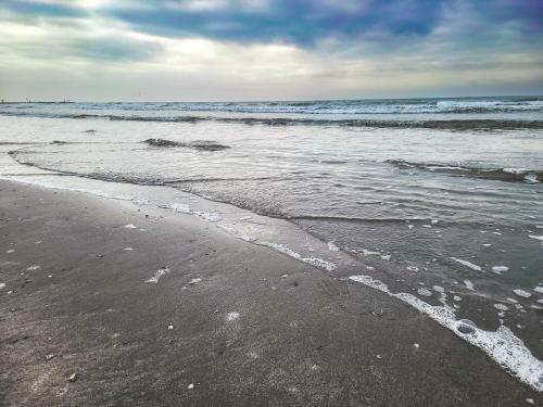 Apartamento Centrally Located Beachfront Condo With Ocean View