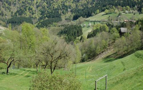 Apartamento Haldenschwarzhof