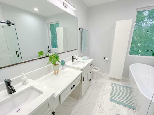 Modern Nature - 2 Story Downtown Delight