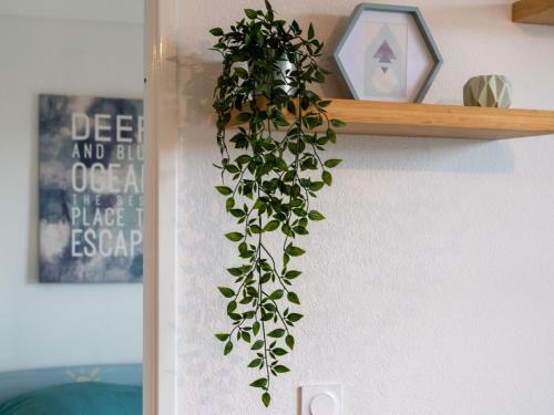 Apartment Atlantique