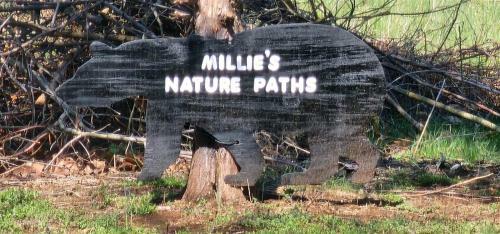 Millie`s Place
