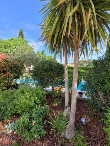 Villa Le Sud En Famille Yourhosthelper