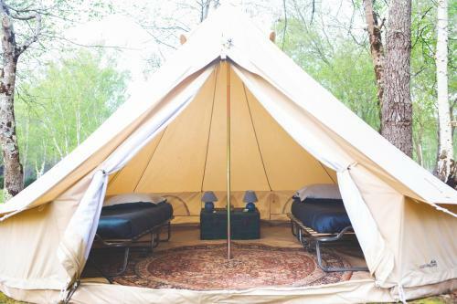 Le Rep�re Du Pin Sec - Glamping & Surfcamp