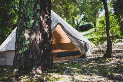 Le Rep�re Du Pin Sec - Glamping & Surfcamp