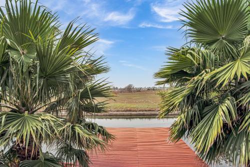 Npi-1522- Island Dream Home
