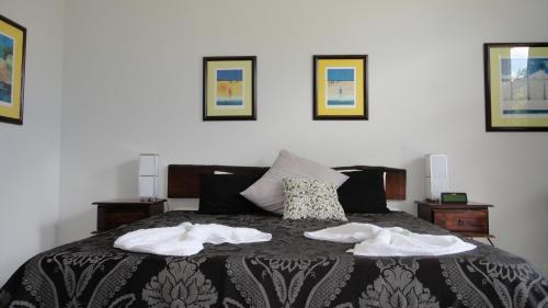 Daintree Wild Bed & Breakfast