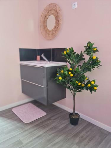 Apartamento Ng Suitehome 121grand Rue 2