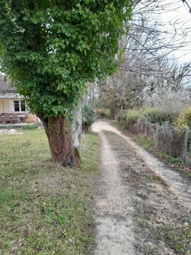 Maison Dans �crin De Verdure En P�rigord Noir