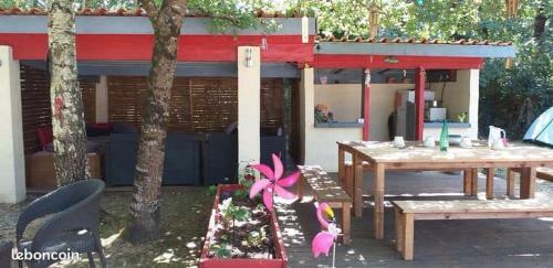 Tente Pour Camping