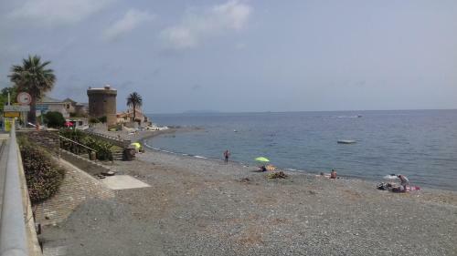 Apartamento Agreable Studio D�but Cap Corse