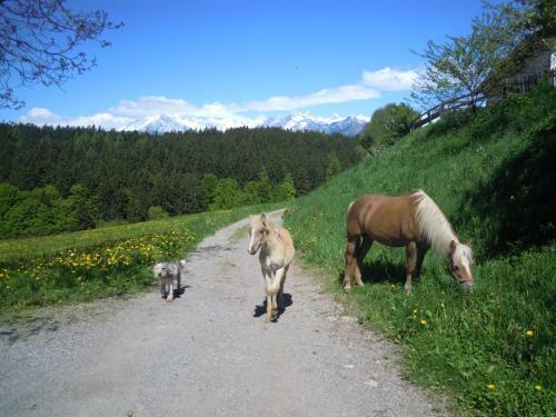Agroturismo Innergruberhof