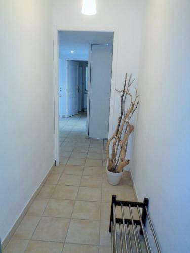 Apartamento 2 Chambres Parking Quartier Des Plages