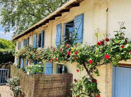 Bed & Breakfast La Vigne D'or